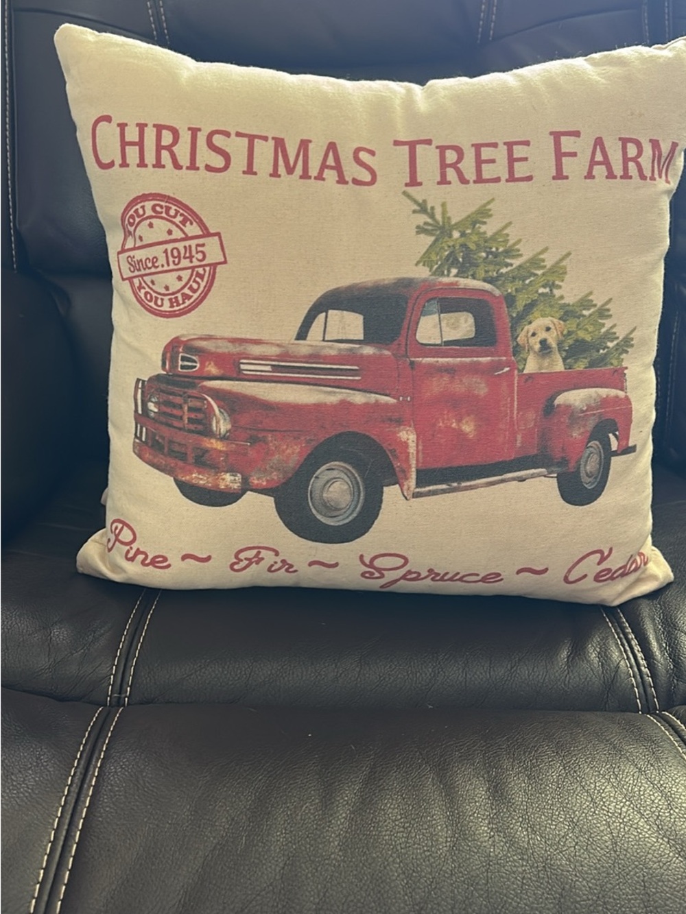 Holiday Pillow - Christmas Tree Farm Red Truck